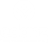 EDANZ